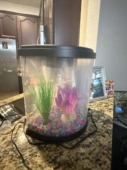 Half Moon 3.5 Gallon Fish Tank