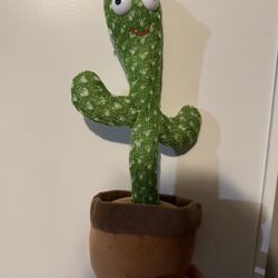Singing Cactus