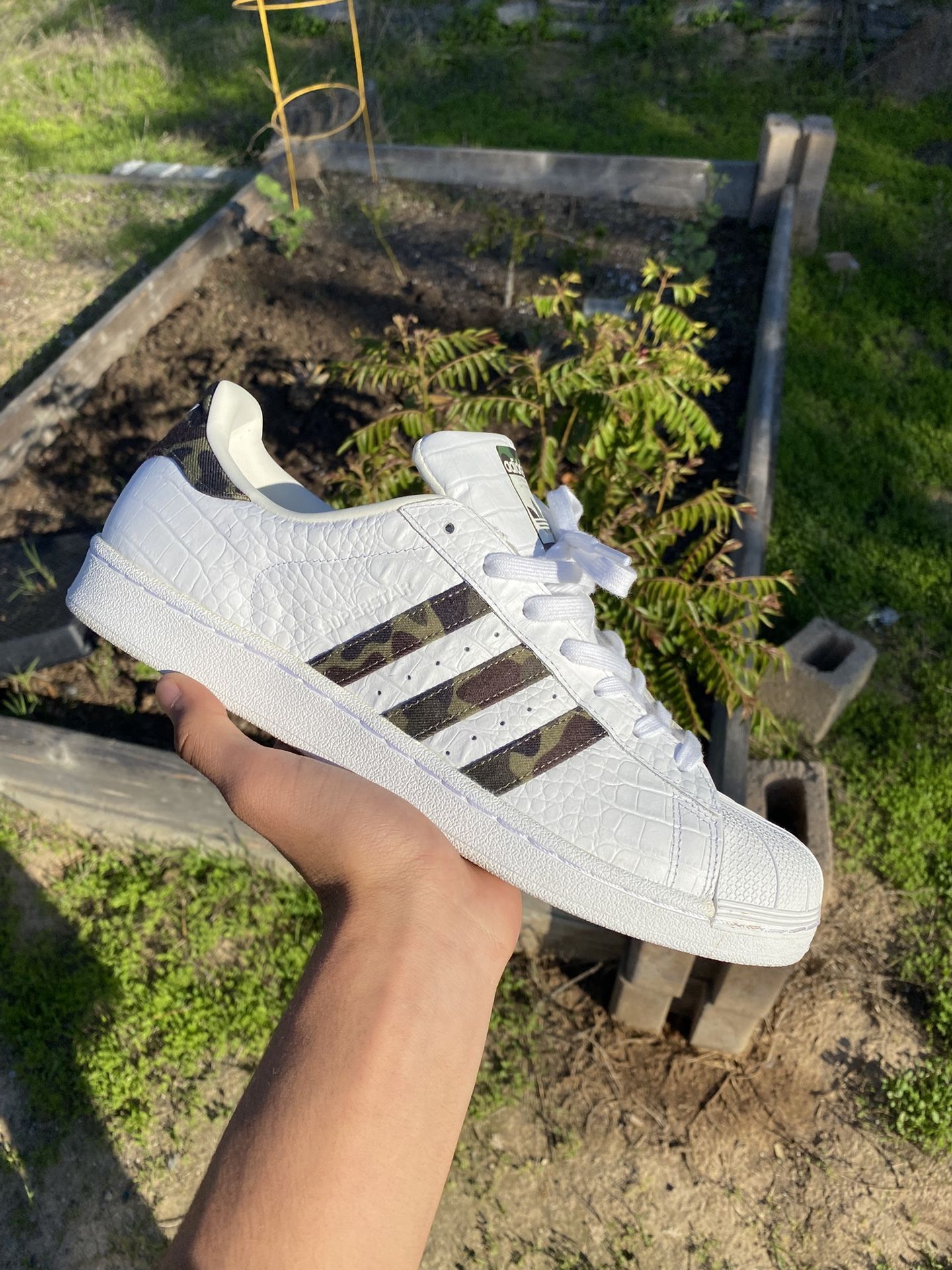 Adidas Superstar