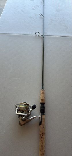 Surf fishing rod and reel