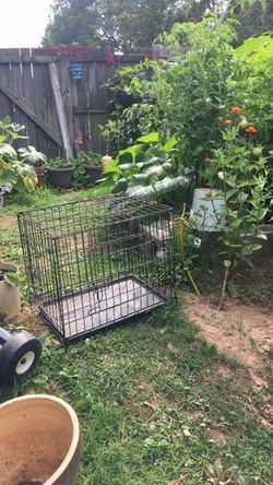 Medium kennel
