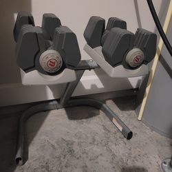 Adjustable Dumbbell And Bench 