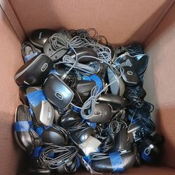 Large Lot of Computer Accessories: Mice, Keyboards, and More