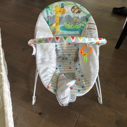 Baby Bouncer