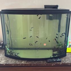 Fish Tank