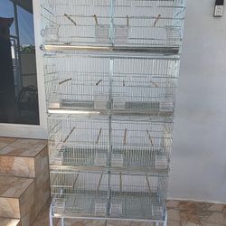 Bird Cage
