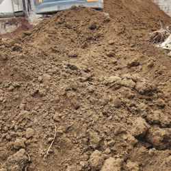 Nice And Clean Dirt 