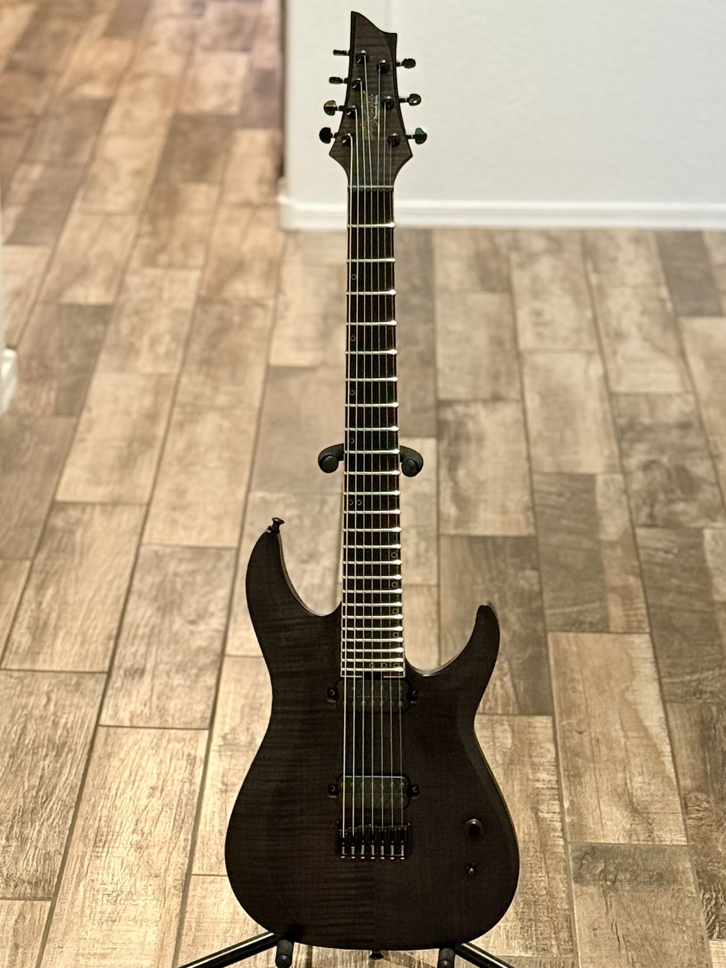 Schecter Guitar