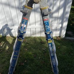 Werner Ladder