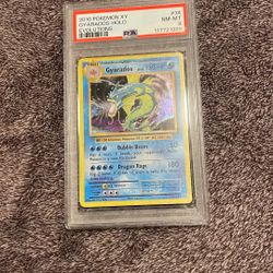 Gyarados Xy