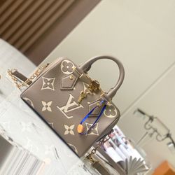 Louis Vuitton Speedy Traveler Bag