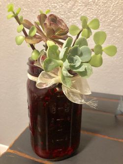 Red Mason jar with succulent plant