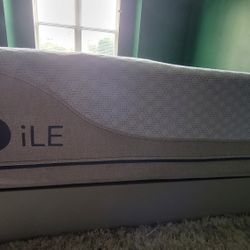 Sleep Number iLE King With Flext Fit 3 Base