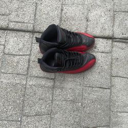 Jordan 12s flu game
