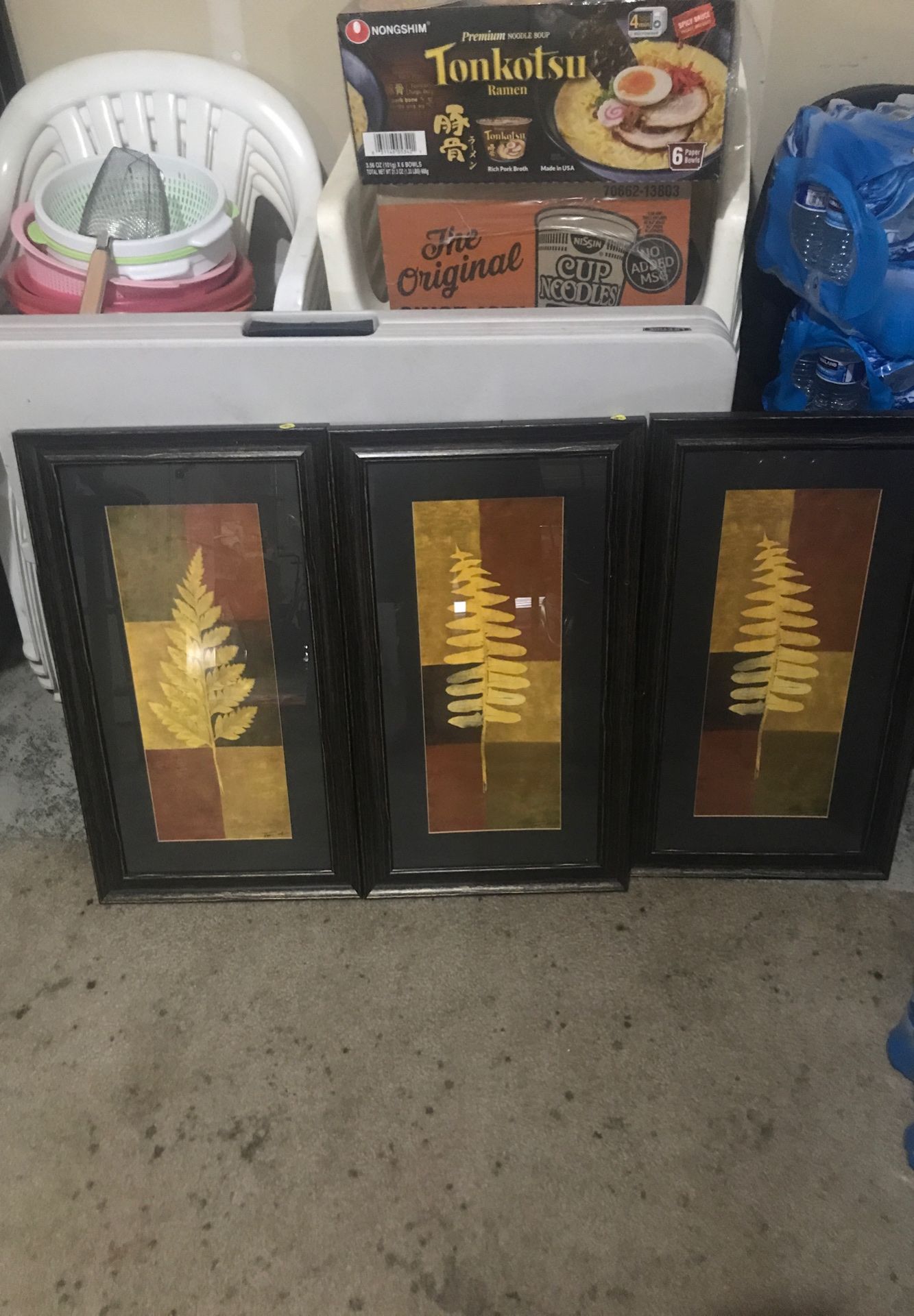 pictures