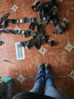 5 point jegs harness ×2