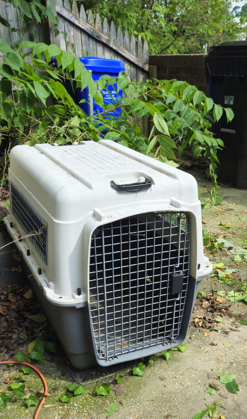 Dog cage
