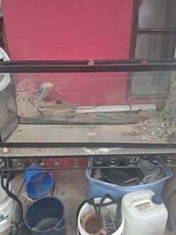 Large fish tank