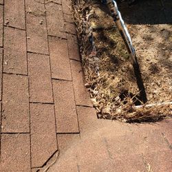 Clean Gutters And Roofs