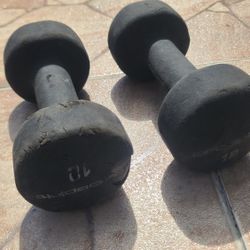 2 X 12lb. Dumbbells 