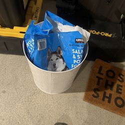 Freshly Opened Dog Food
