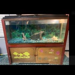 Huge Fish Tank/Pesera Para Pescados 