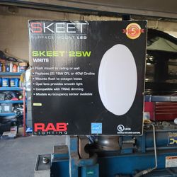 RAB  Surface Mount LED Lighting 
