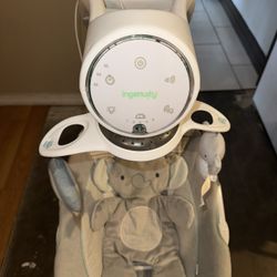 Baby Swing