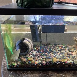 fish tank 13.5*9*7.5"