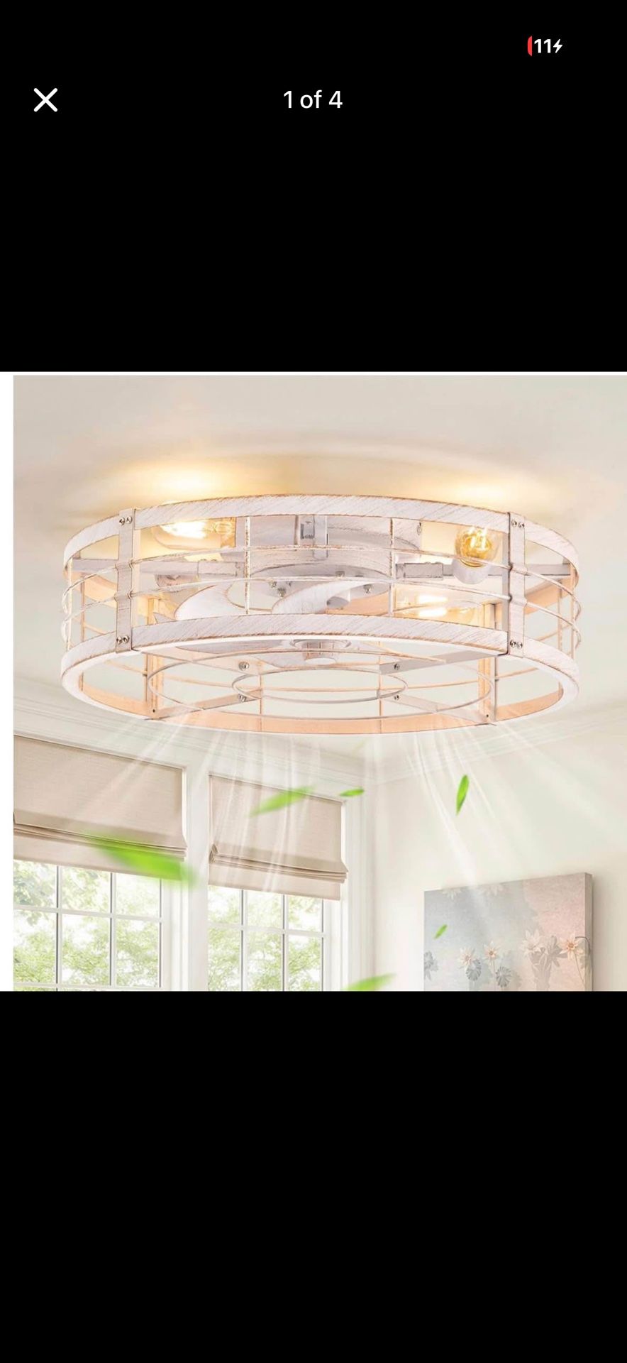 20" Caged Ceiling Fan with Light and Remote