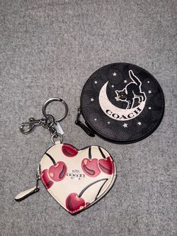 COACH minis