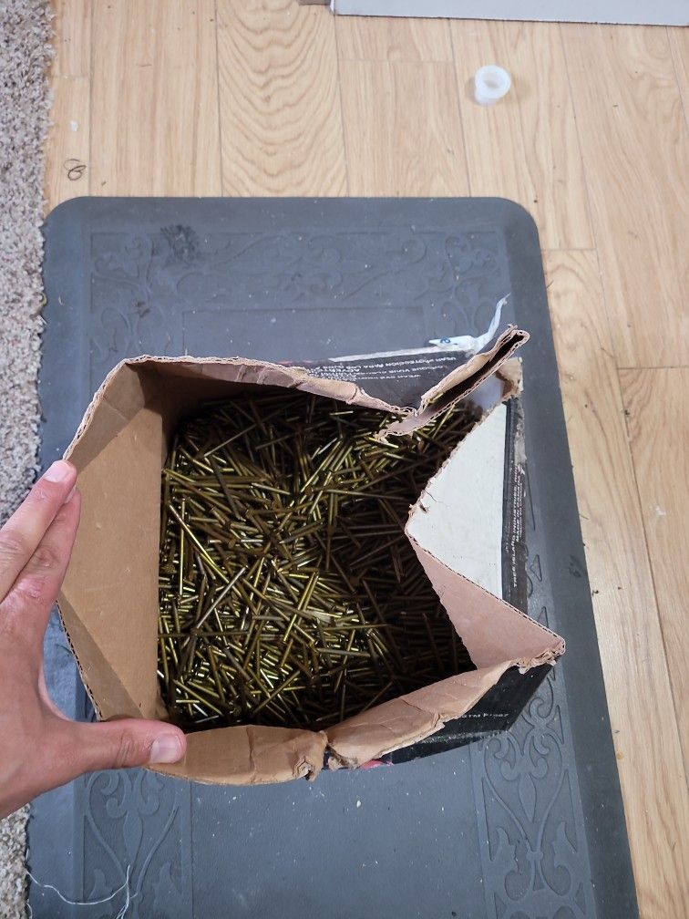 Box Of Nails For Construction 3 1/4"
