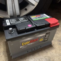 Everstart Platinum Battery