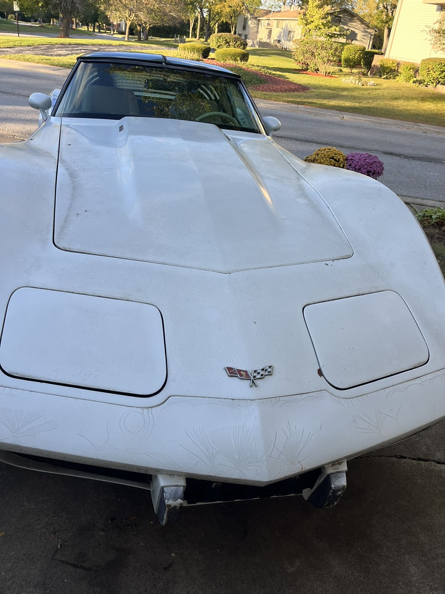 1979 Chevrolet Corvette