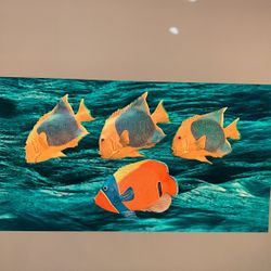 4 FISH Very Colorful Resin Wall Decor