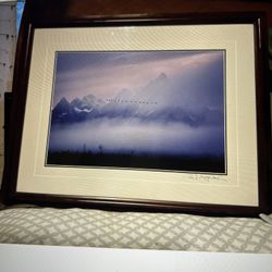 Out Of The Mist Signed Framed Print, Thomas Mangelsen