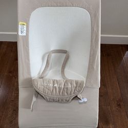 Baby Delight bouncer