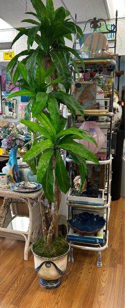 6.5 Foot Artificial Dracaena Plant Tree