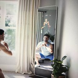 PROFORM EXERCISE MIRROR 