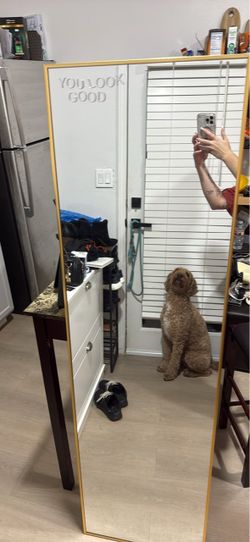 Large Mirror