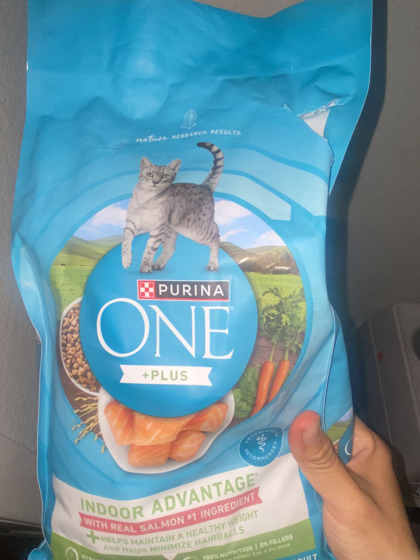 Ragdollll Siammeeesseee Mixxx Kittteennn ad0pțiòn