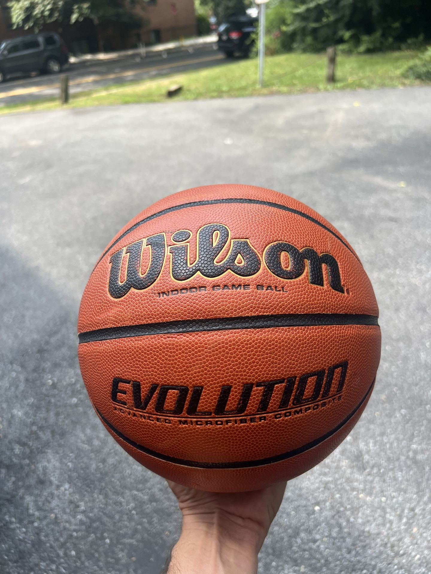 Wilson Evolution Basketball