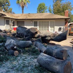 Red Oak City Of Pasadena