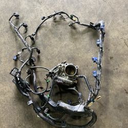 Civic Si K Series Harness