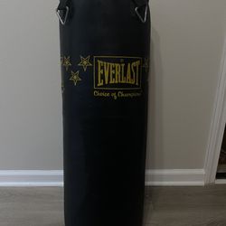 35” Everlast Punching Bag