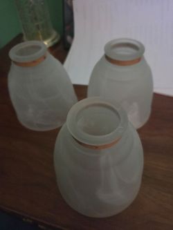 Ceiling fan glass bulb globes (3)