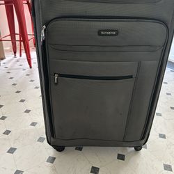 Large 30” Checked bag Luggage 