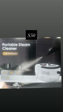 Portable steam cleaner