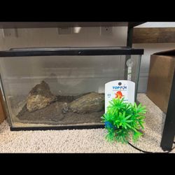 Fish Tanks For Sale