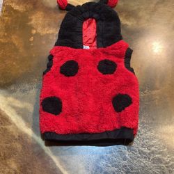 Halloween Ladybug Toddler Costume